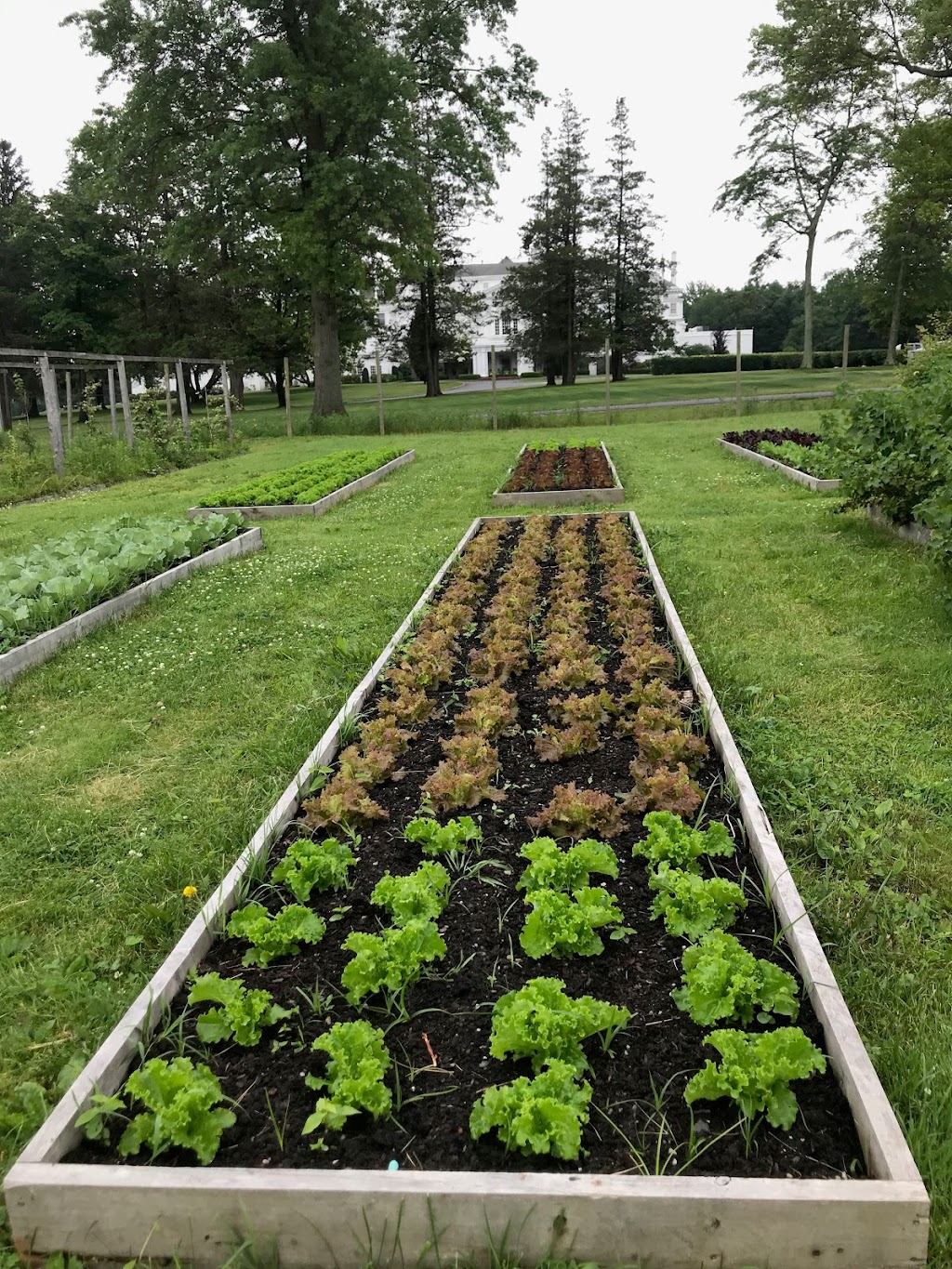 Our New Way Garden | 10 New King St, West Harrison, NY 10604 | Phone: (914) 681-5100