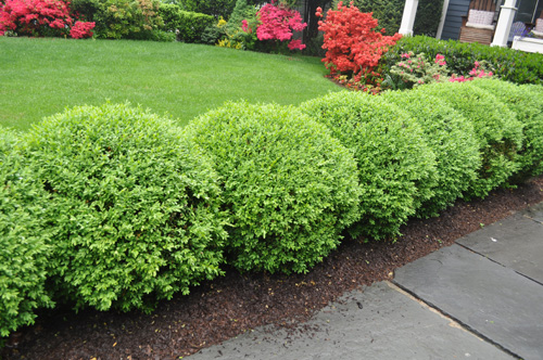 Baker & Sons Landscaping | 319 Orchard Rd, Highland, NY 12528 | Phone: (845) 691-4912