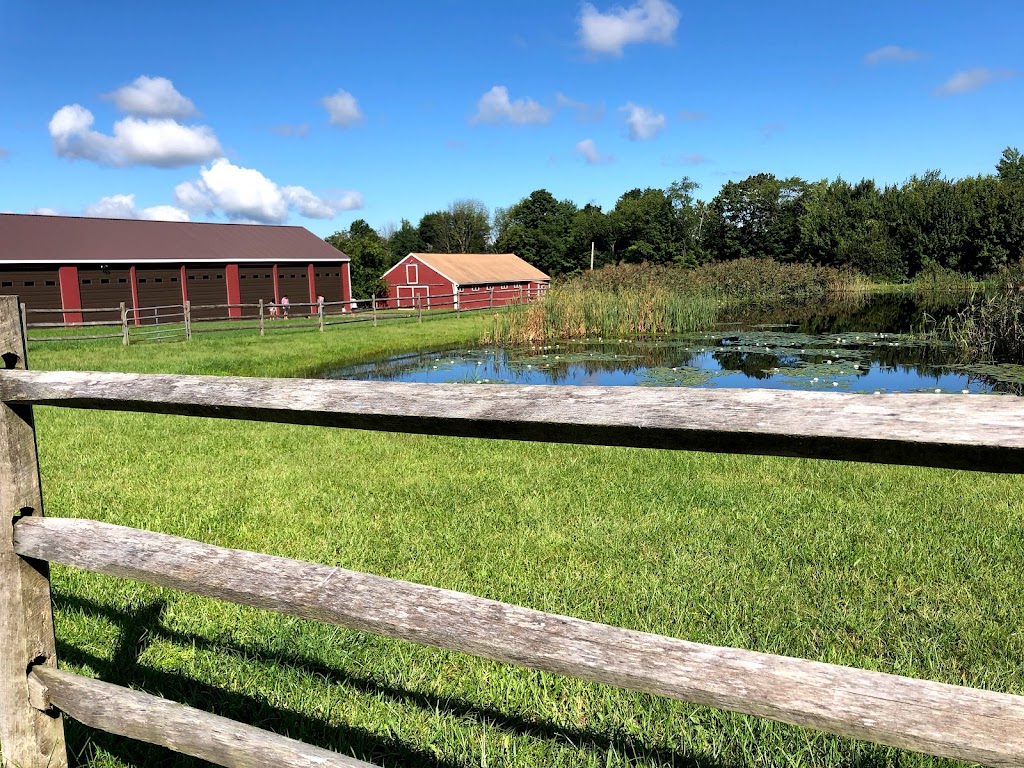 Beardsleys Cider Mill & Orchard | 278 Leavenworth Rd, Shelton, CT 06484 | Phone: (203) 926-1098