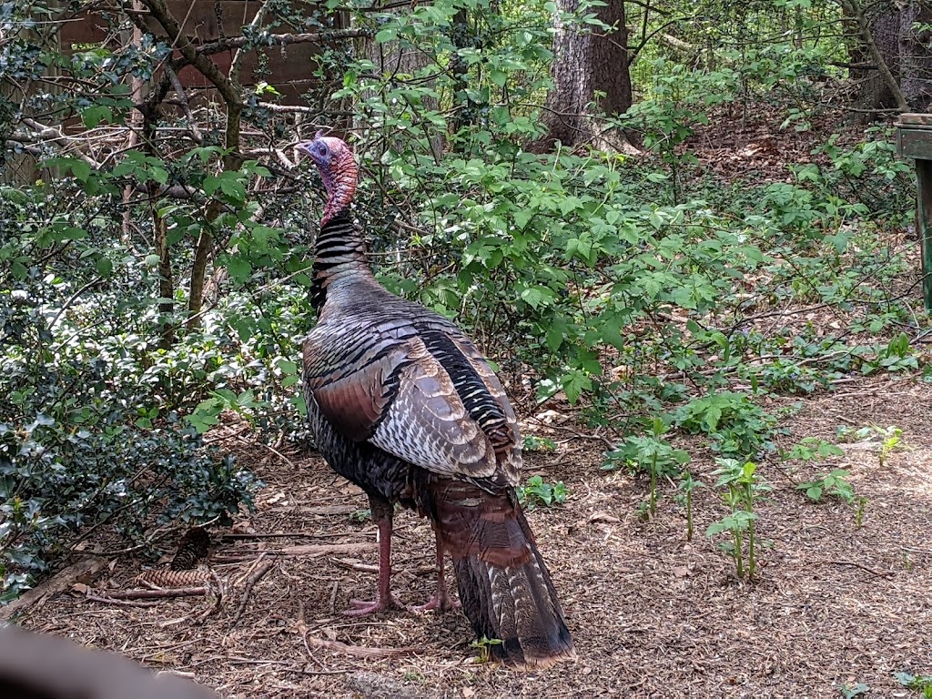 Pennypack Ecological Restoration Trust Parking | 2955 Edge Hill Rd, Huntingdon Valley, PA 19006 | Phone: (215) 657-0830