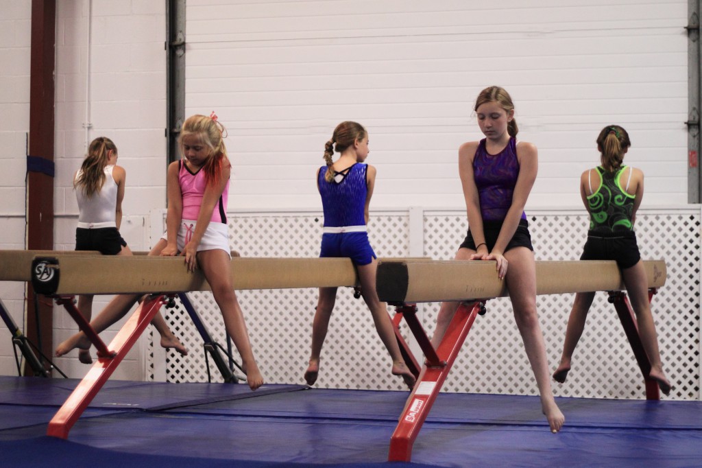 Legacy Gymnastics | 21 N Country Rd, Rocky Point, NY 11778 | Phone: (631) 744-5455