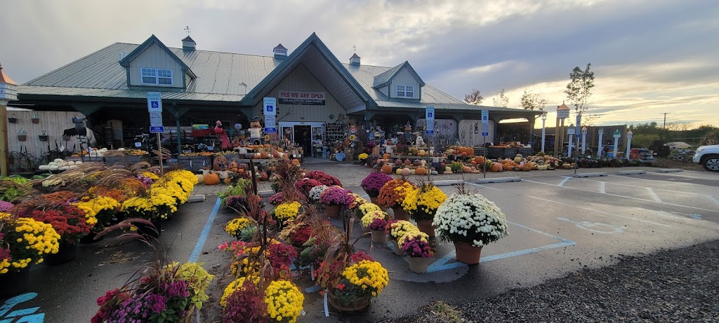 Old Mountain Farm Market | 1015 US-22, Lebanon, NJ 08833 | Phone: (908) 236-2604