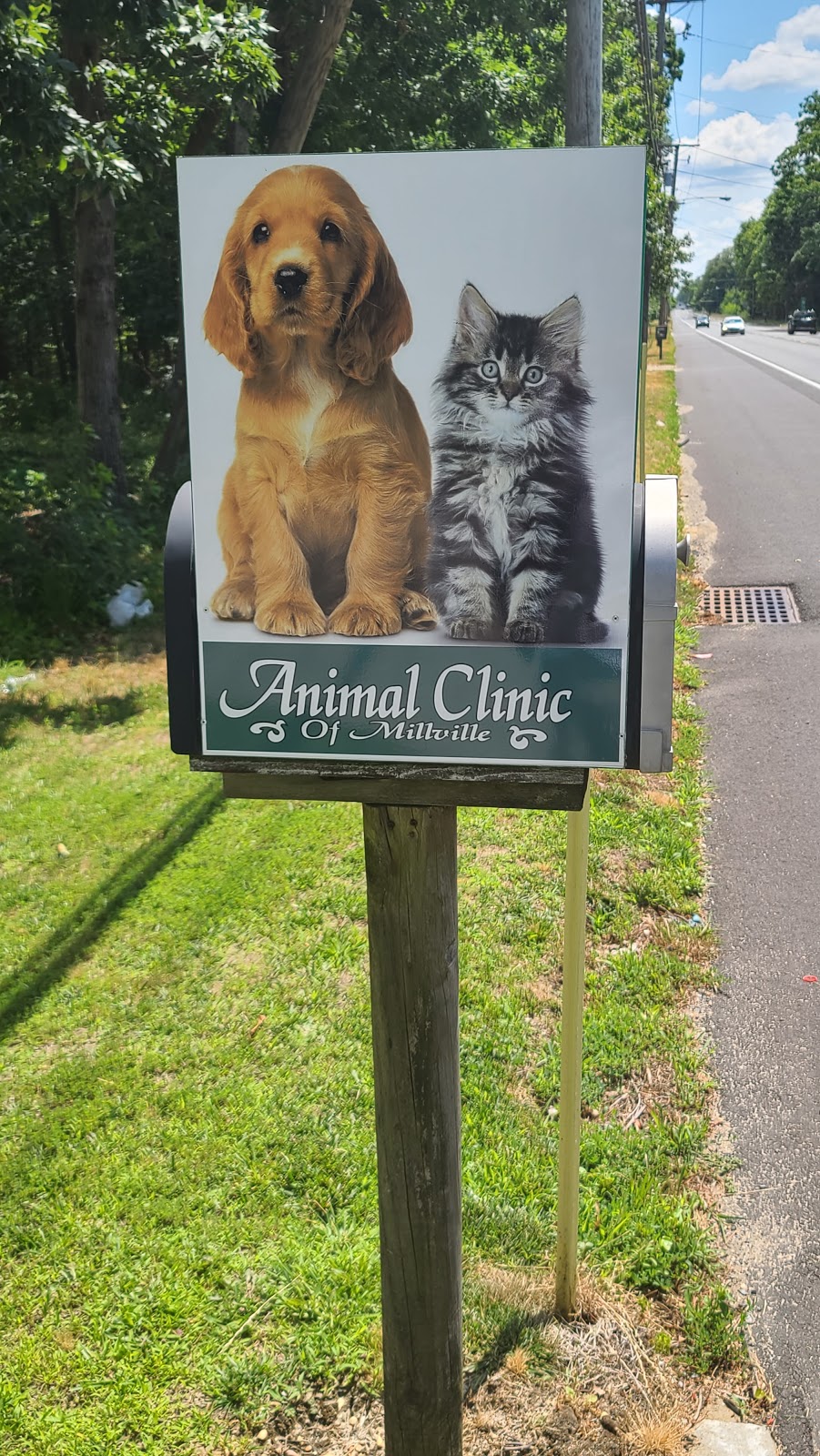 Animal Clinic of Millville | 2430 W Main St, Millville, NJ 08332 | Phone: (856) 825-8935