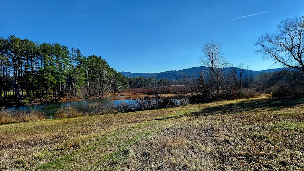 Mass Audubon Canoe Meadows Wildlife Sanctuary | 309 Holmes Rd, Pittsfield, MA 01201 | Phone: (413) 637-0320