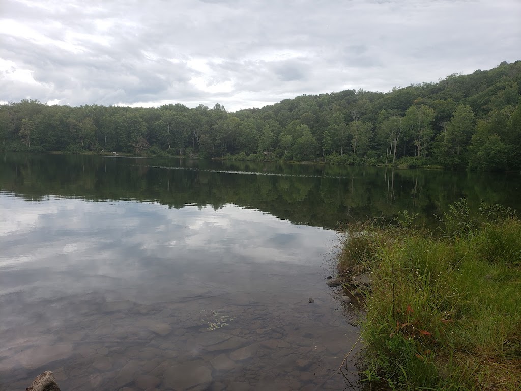 Little Pond Campground | 549 Barkaboom Rd, Andes, NY 13731 | Phone: (845) 439-5480