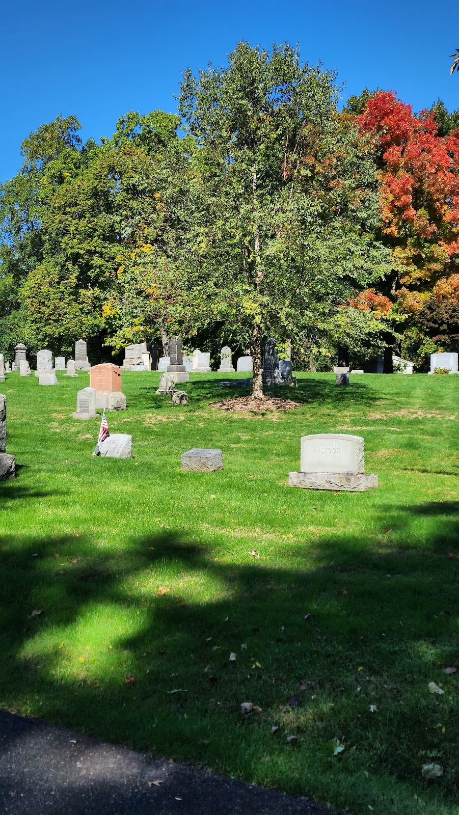 Hazelwood Cemetery | 64 Lake Ave, Colonia, NJ 07067 | Phone: (732) 381-2200