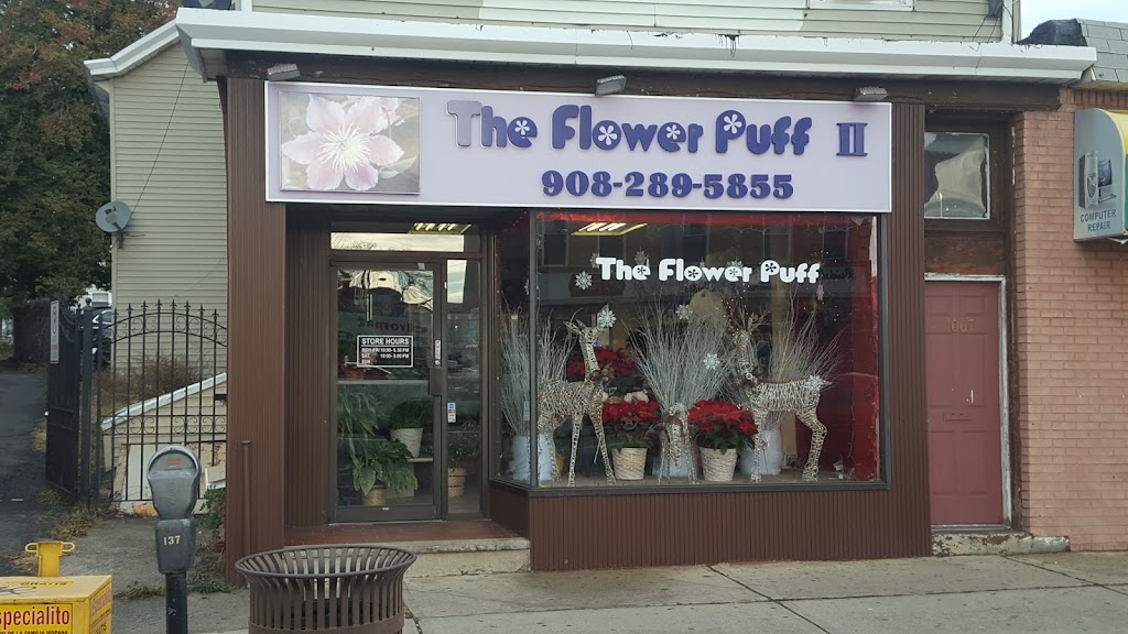 The Flower Puff Too | 1067 Elizabeth Ave, Elizabeth, NJ 07202 | Phone: (908) 289-5855
