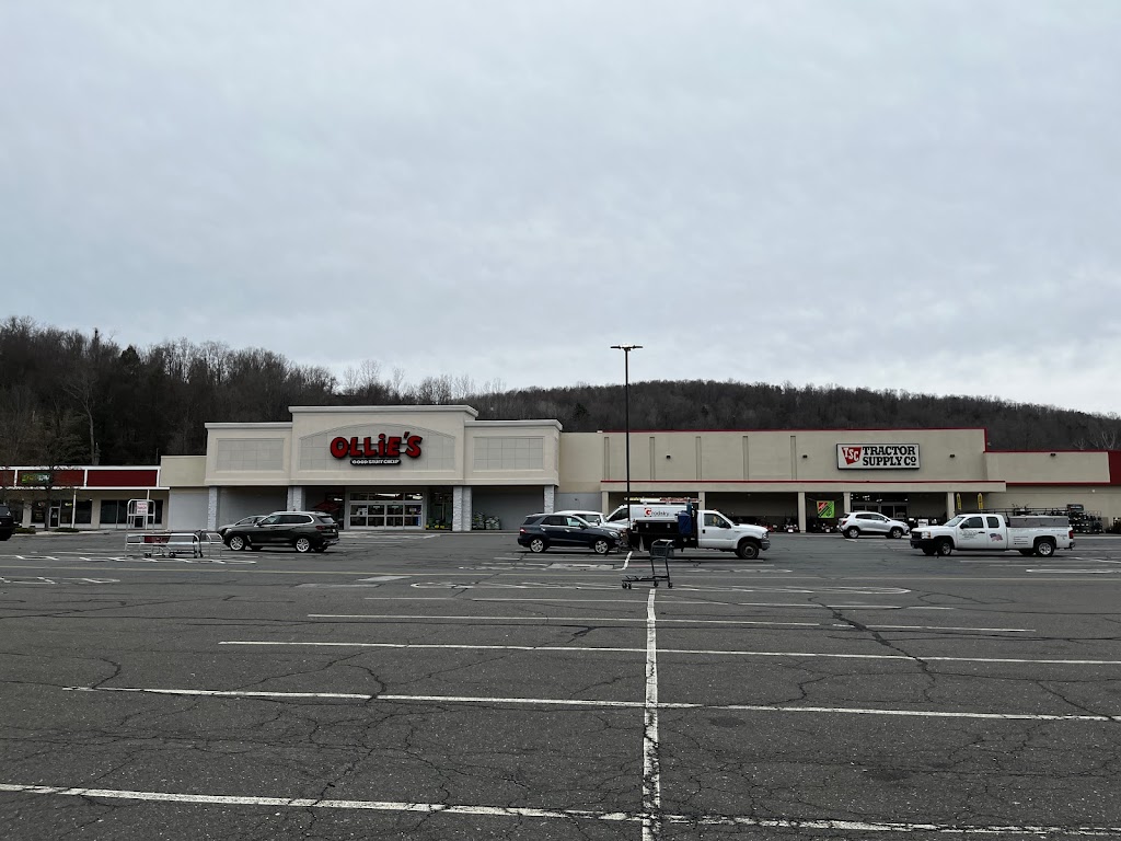 Ollies Bargain Outlet | 380 New Hartford Rd, Barkhamsted, CT 06063 | Phone: (860) 909-0532