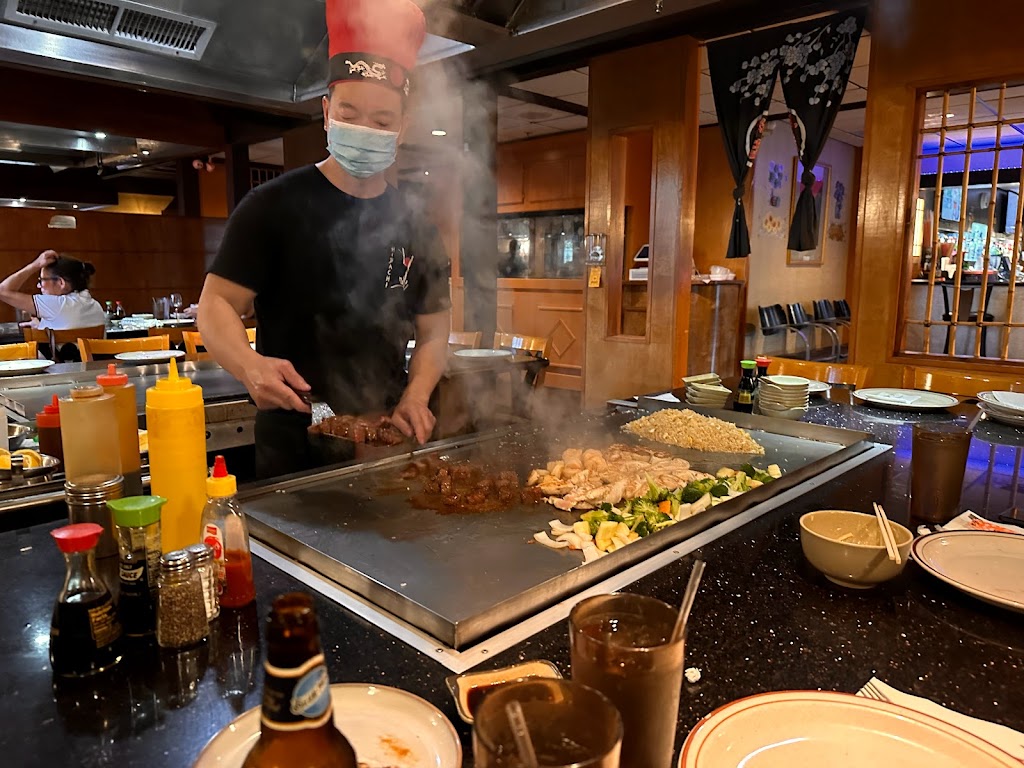 Hibachi of Valley Forge | 240 Swedesford Rd, Berwyn, PA 19312 | Phone: (610) 296-4028