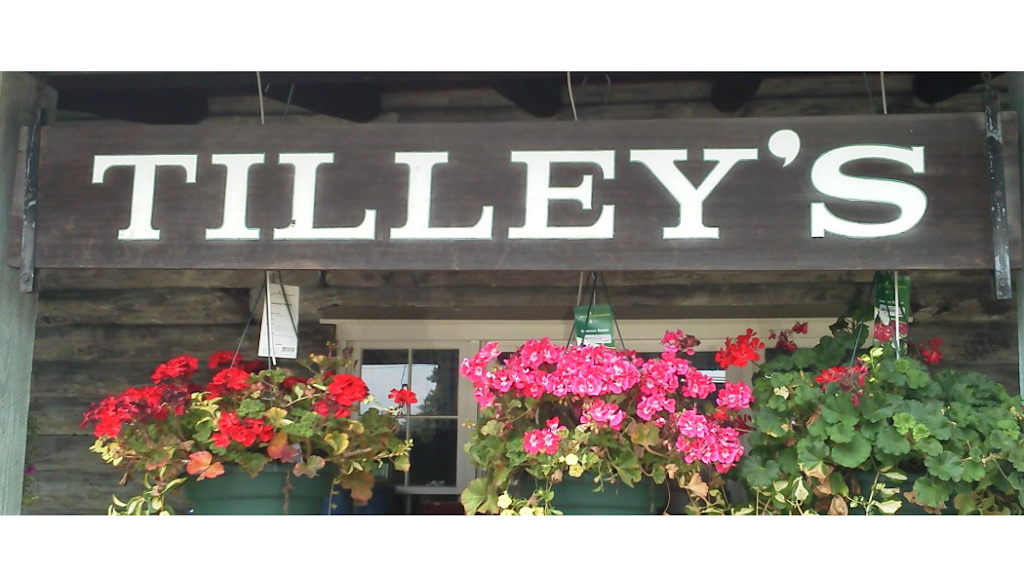 Tilleys Nursey | 111 E Fairmount St, Coopersburg, PA 18036 | Phone: (610) 282-4784