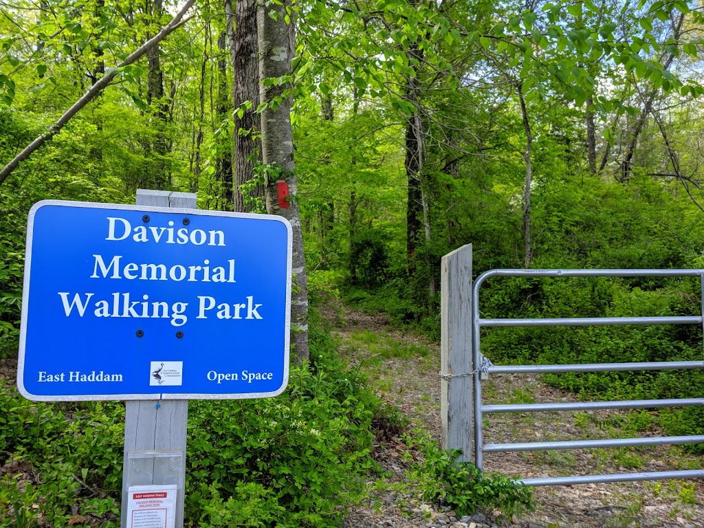 Davison Memorial Walking Park | 50 Davison Rd, Moodus, CT 06469 | Phone: (860) 673-5031