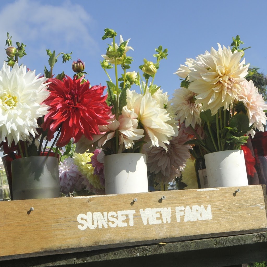 Flower Stand at Sunset View Farm | 27 Pierce Rd, Lafayette, NJ 07848 | Phone: (973) 579-7382