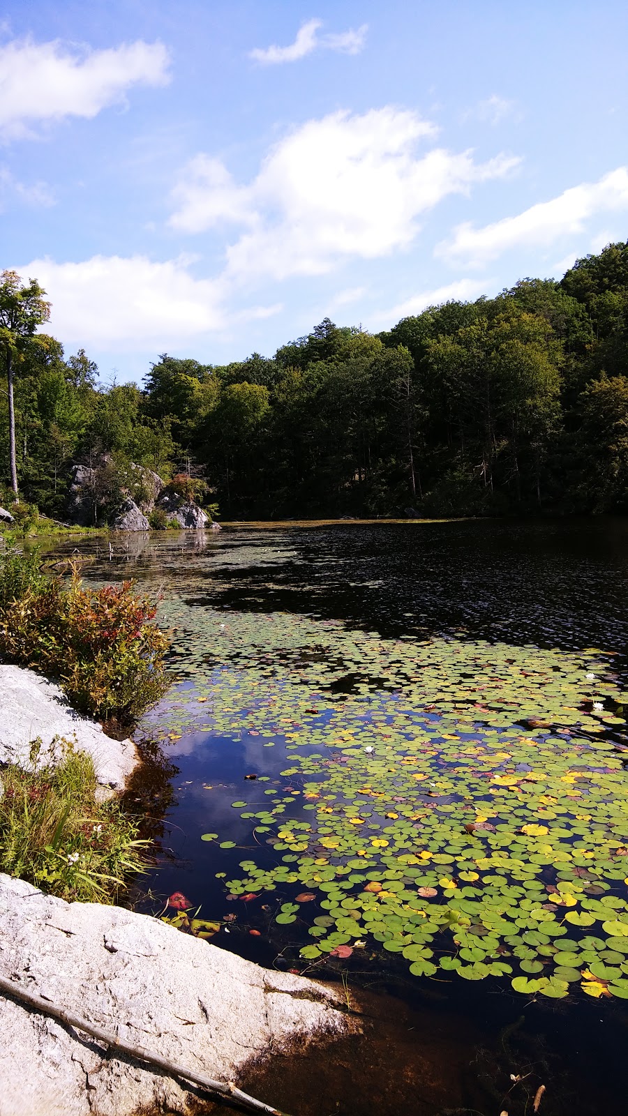 Pelton Pond - Fahnestock State Park | 1088 Cold Spring Turnpike, Hopewell Junction, NY 12533 | Phone: (845) 225-7207