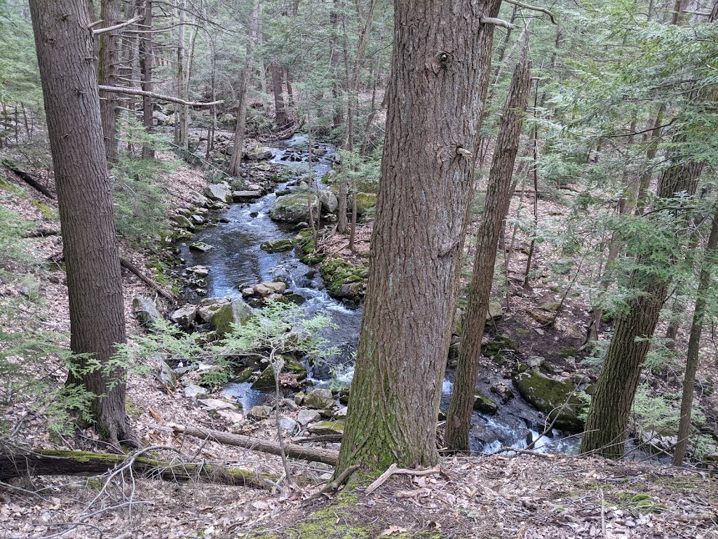 Black Rock - Mineral Springs Hiking trail | 2-16 Old Mineral Springs Rd, Highland Mills, NY 10930 | Phone: (845) 534-4517