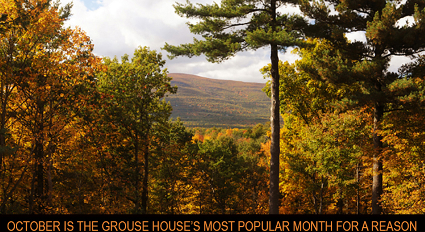 The Grouse House | 21 Adrienne Ln, Saugerties, NY 12477 | Phone: (845) 246-1852