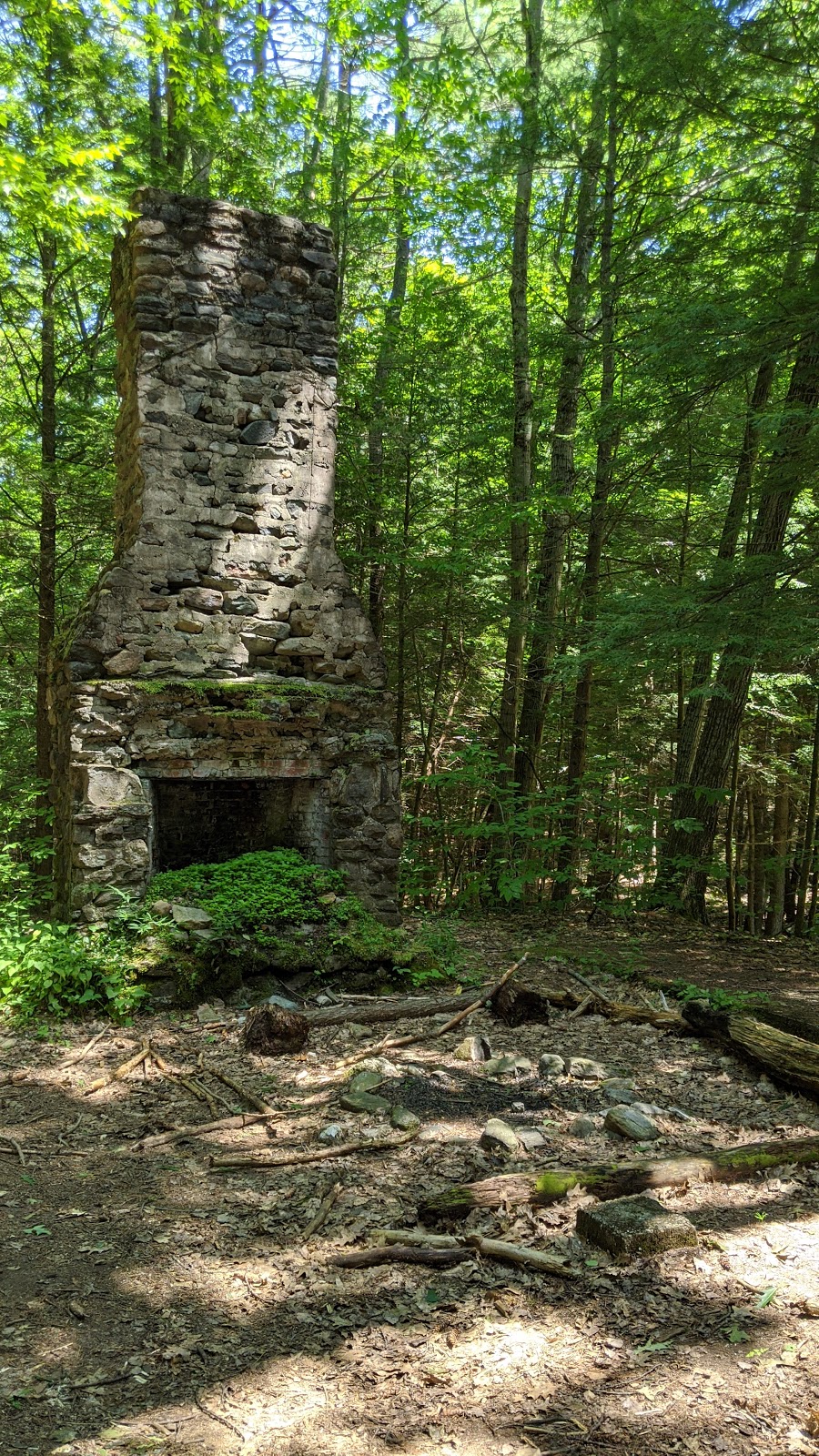 Chester-Blandford State Forest | 20 Chester Rd, Blandford, MA 01008 | Phone: (413) 354-6347
