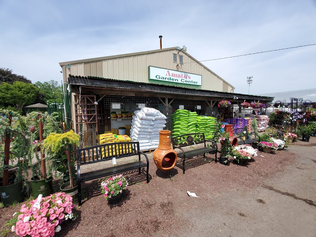 Amatos Garden Center Nursery | 47 Deans Rhode Hall Rd, Monmouth Junction, NJ 08852 | Phone: (732) 297-6790