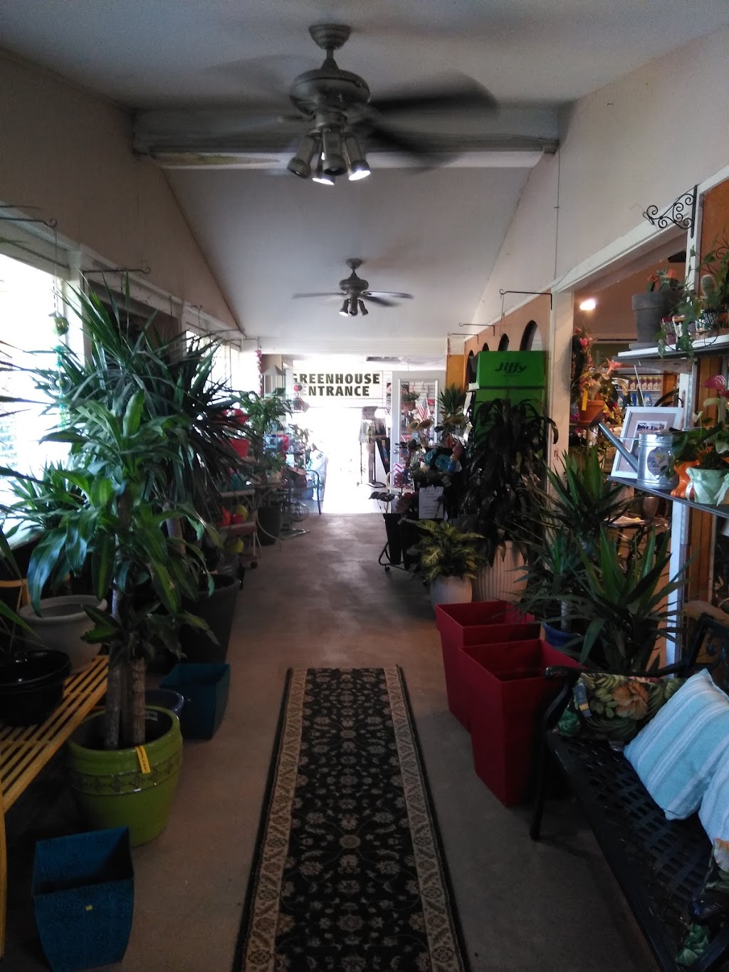 Amodios Garden Center, Nursery and Flower Shop | 1160 Mamaroneck Ave, White Plains, NY 10605 | Phone: (914) 949-3922