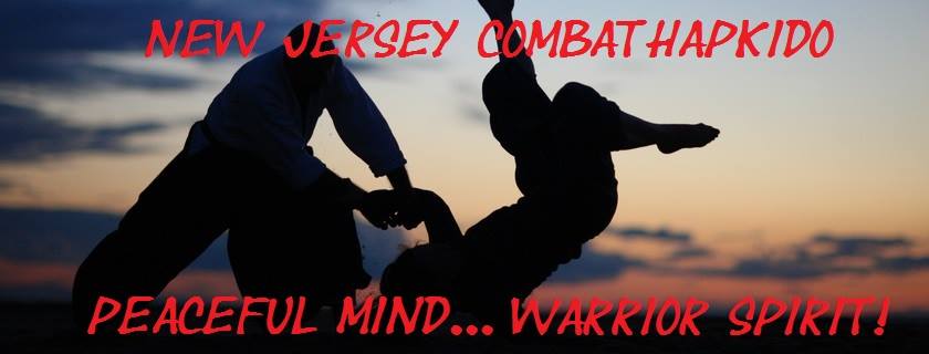 New Jersey Combat Hapkido | 2365 Amwell Rd, Somerset, NJ 08873 | Phone: (732) 305-2383