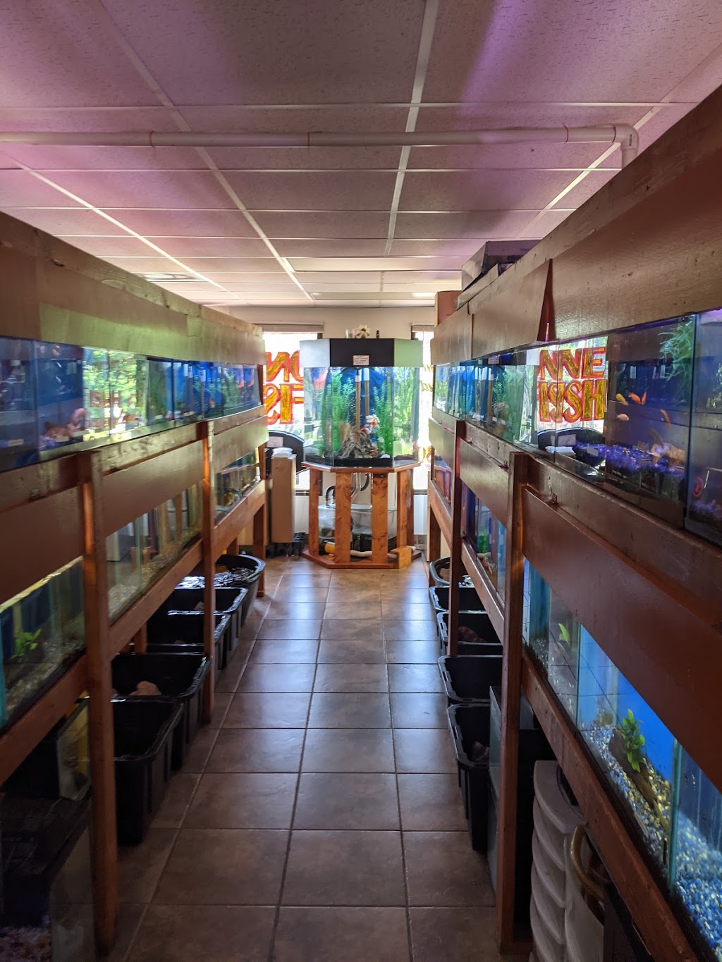 One Fish Two Fish | 2048 US-209, Brodheadsville, PA 18322 | Phone: (570) 992-1230