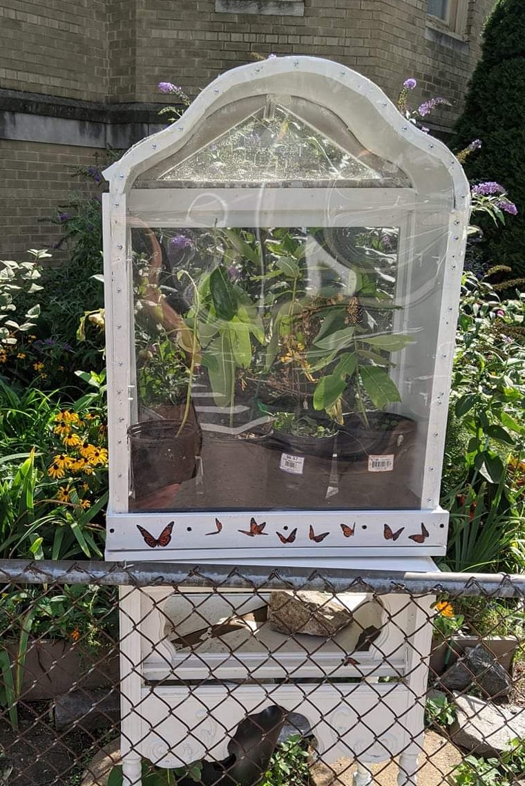 Inwood Butterfly Sanctuary | 603 Isham St, New York, NY 10034 | Phone: (646) 520-6482