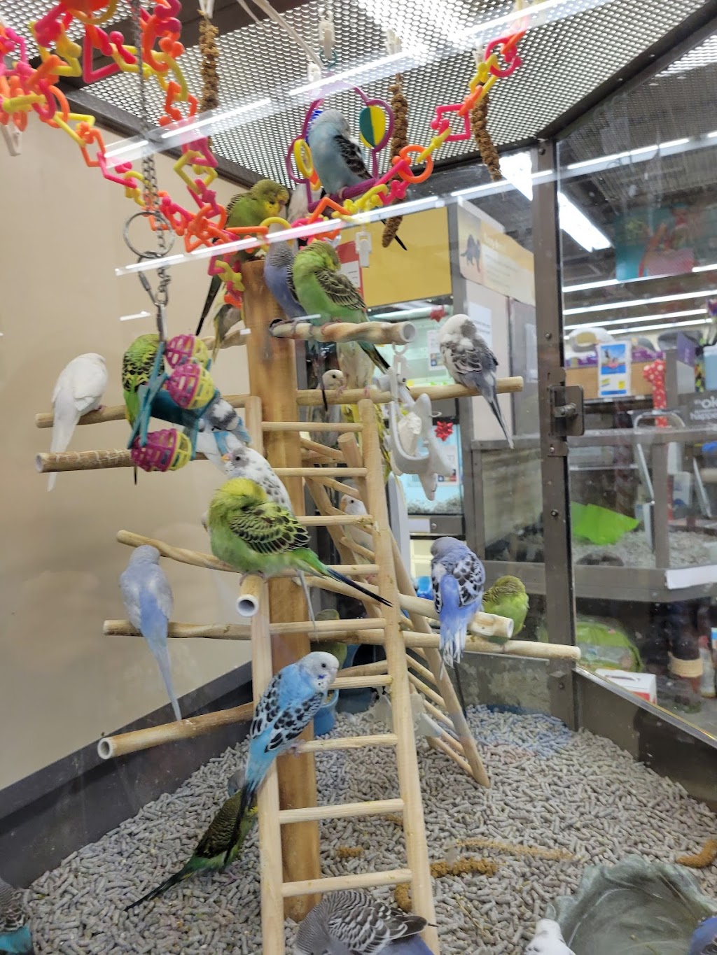 Petco | 360 N Bedford Rd, Mt Kisco, NY 10549 | Phone: (914) 244-7247