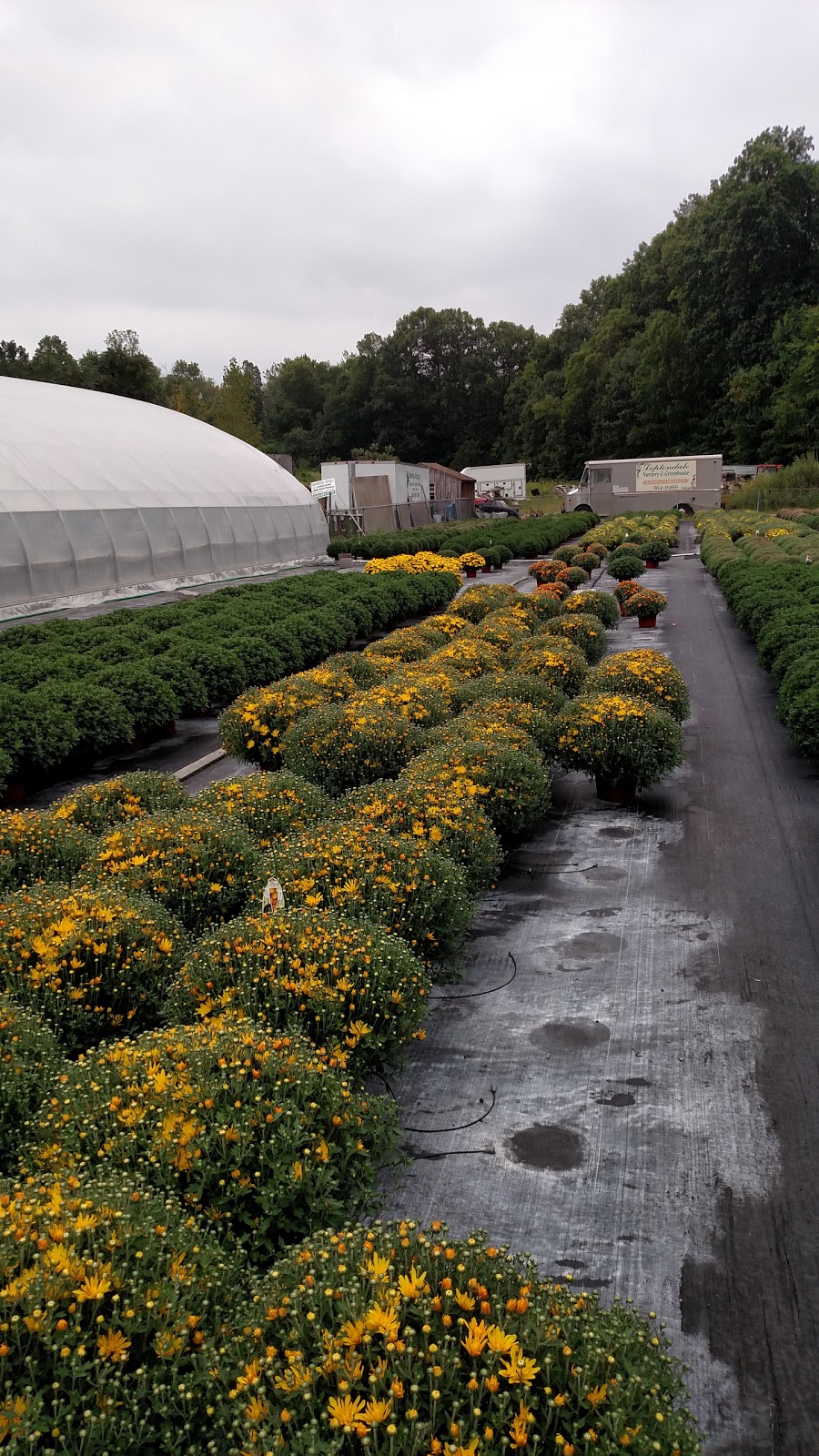 Leptondale Nursery & Greenhouse | 5 Nobles Way, Newburgh, NY 12550 | Phone: (845) 564-0466