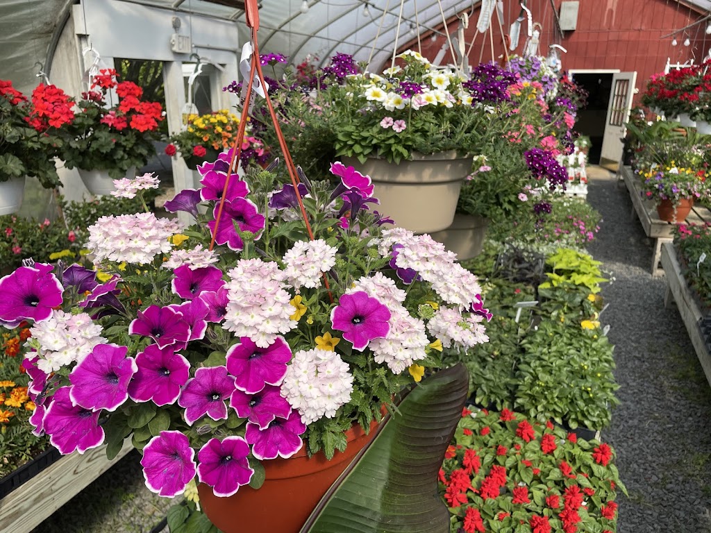 Briands Garden Center | 1826 US-206, Southampton Township, NJ 08088 | Phone: (609) 859-3879