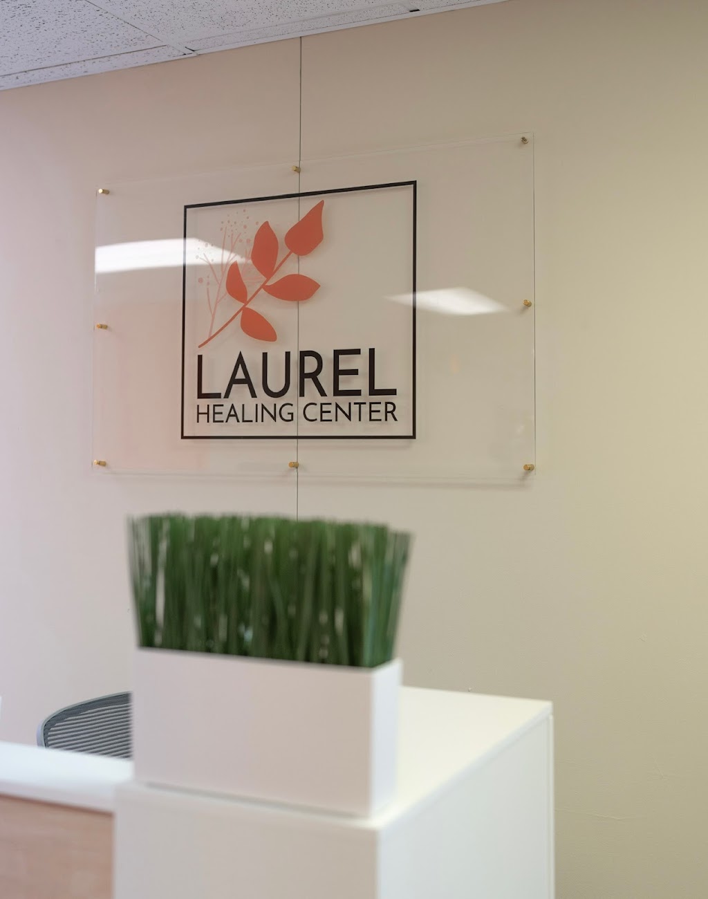 Laurel Healing Center | 801 Birchfield Dr, Mt Laurel Township, NJ 08054 | Phone: (856) 200-8416