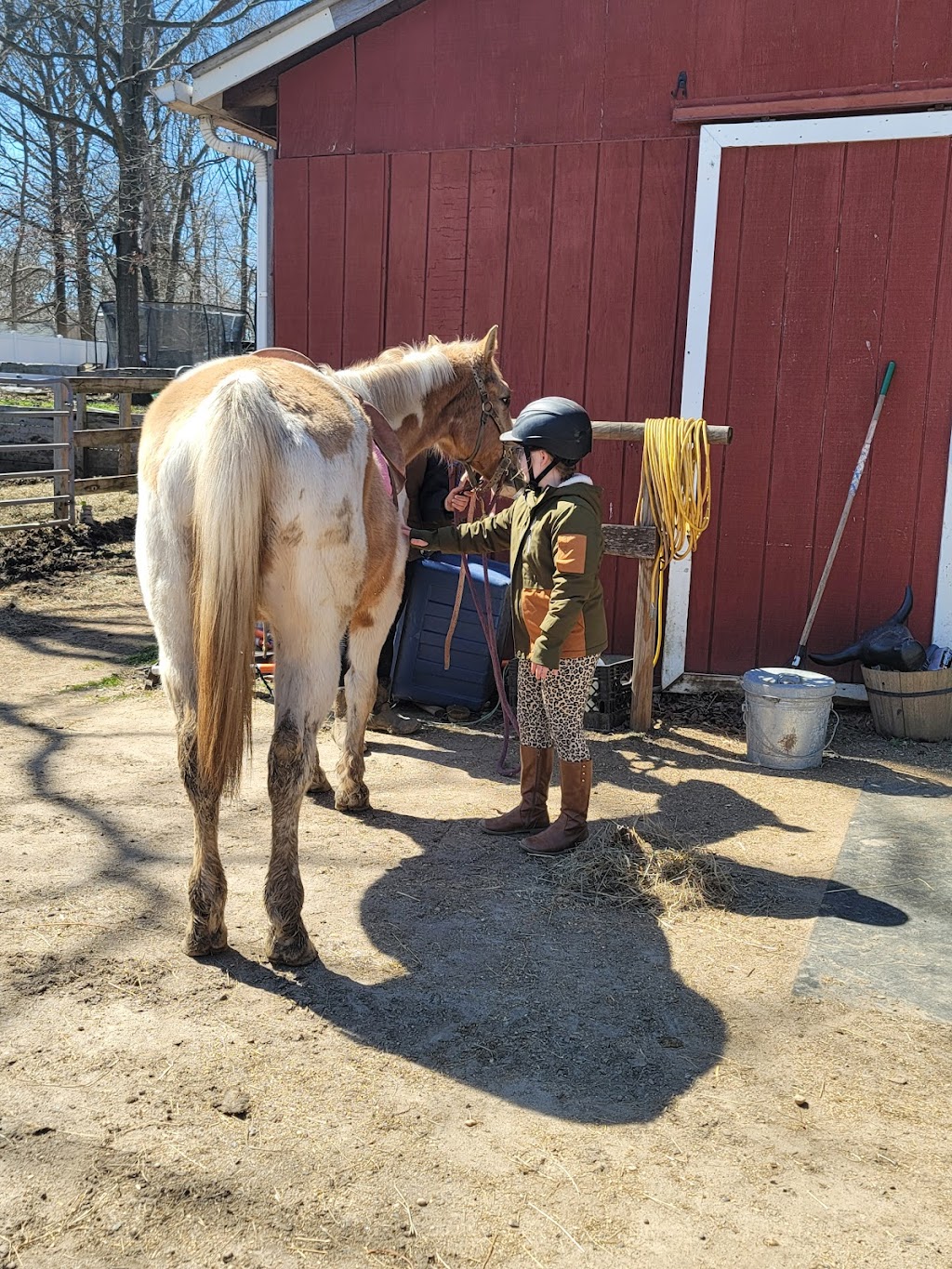 Fox View Equestrian | 47 Smith Rd, Ridge, NY 11961 | Phone: (631) 747-6416