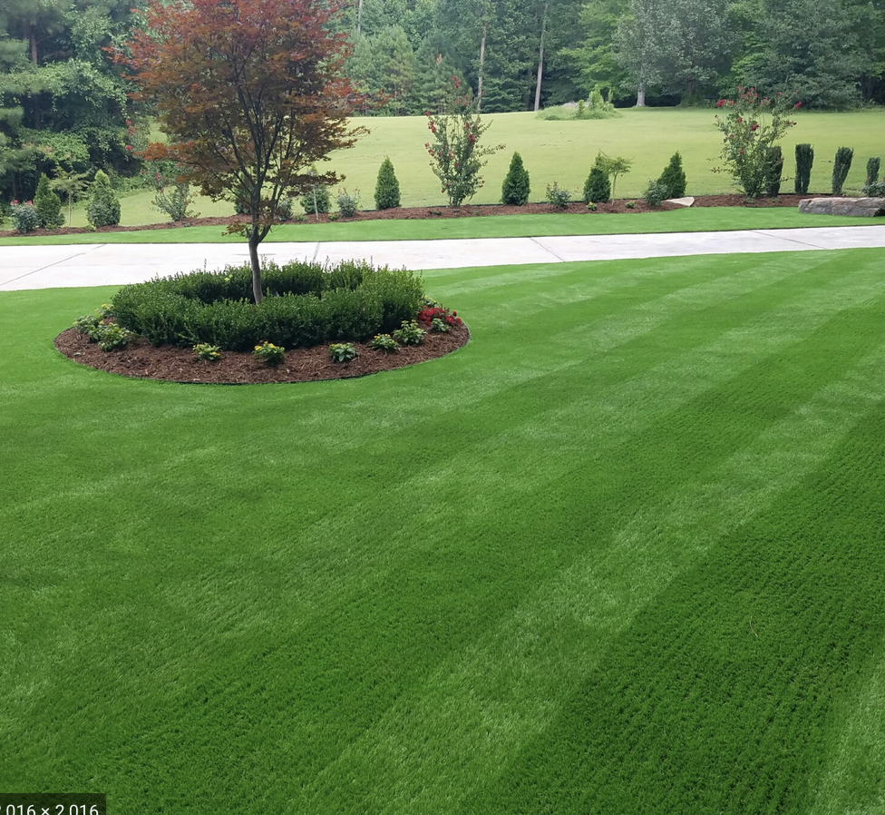 Sharpest Edge Landscaping | 1924 PA-212 Suite 100, Quakertown, PA 18951 | Phone: (610) 333-5618