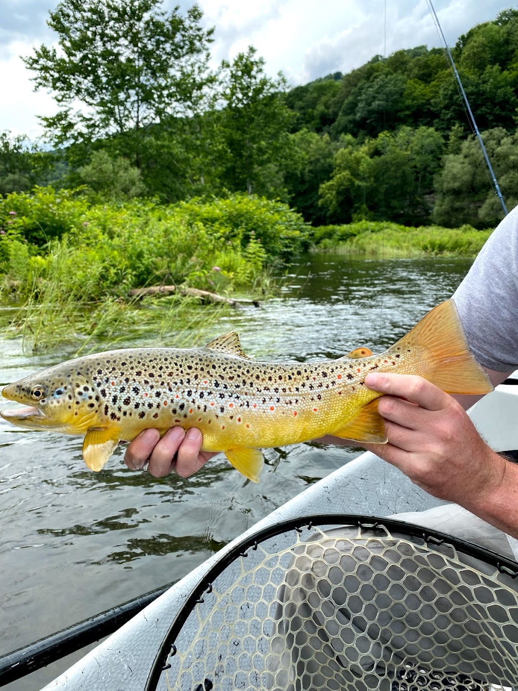 Anglers Den Fly Shop | 11 W Main St, Pawling, NY 12564 | Phone: (845) 855-5182