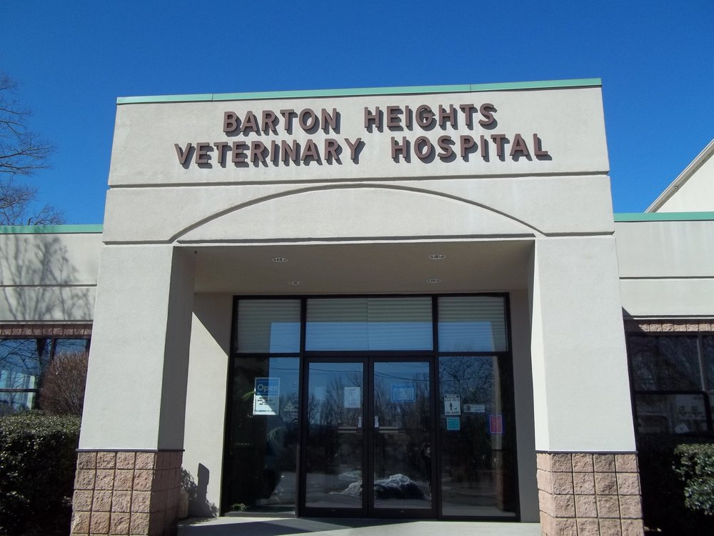 Barton Heights Veterinary Hospital | 117 Terrace Dr, Stroudsburg, PA 18360 | Phone: (570) 424-6773
