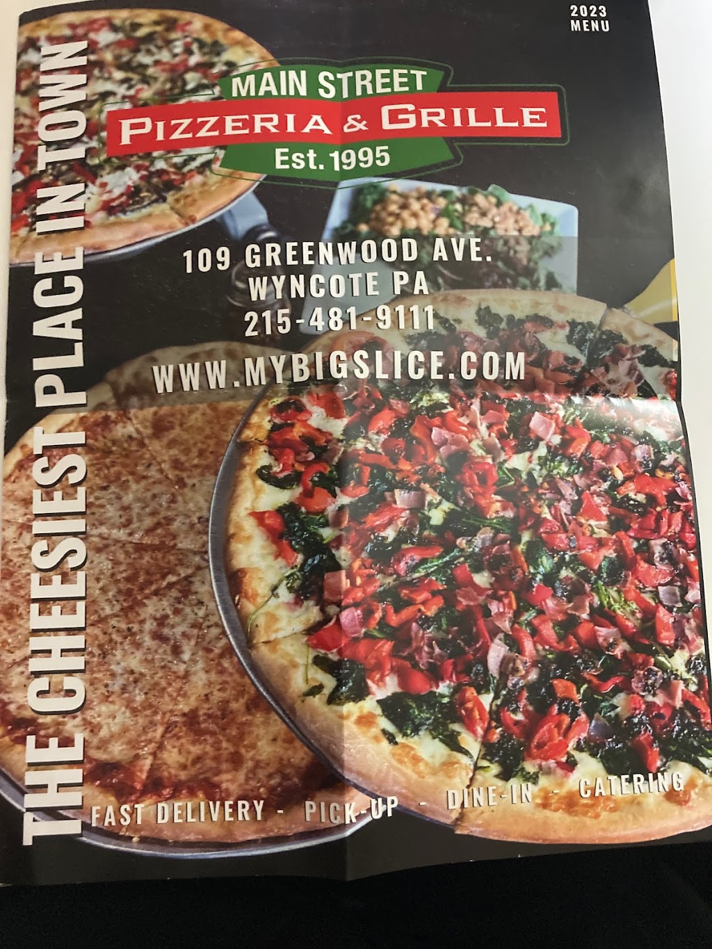 Main Street Pizzeria & Grille | 109 Greenwood Ave, Wyncote, PA 19095 | Phone: (215) 481-9111