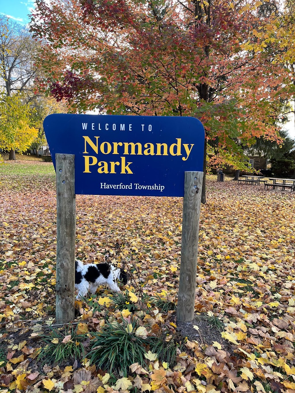 Normandy Park | Normandy Rd, Ardmore, PA 19003 | Phone: (610) 446-9397
