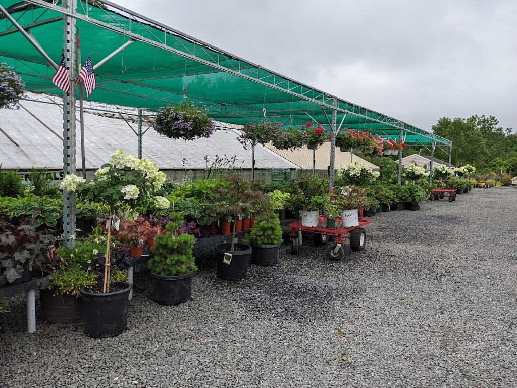 Alis Nursery & Landscaping | 421 Buckland St, Plantsville, CT 06479 | Phone: (860) 621-6506