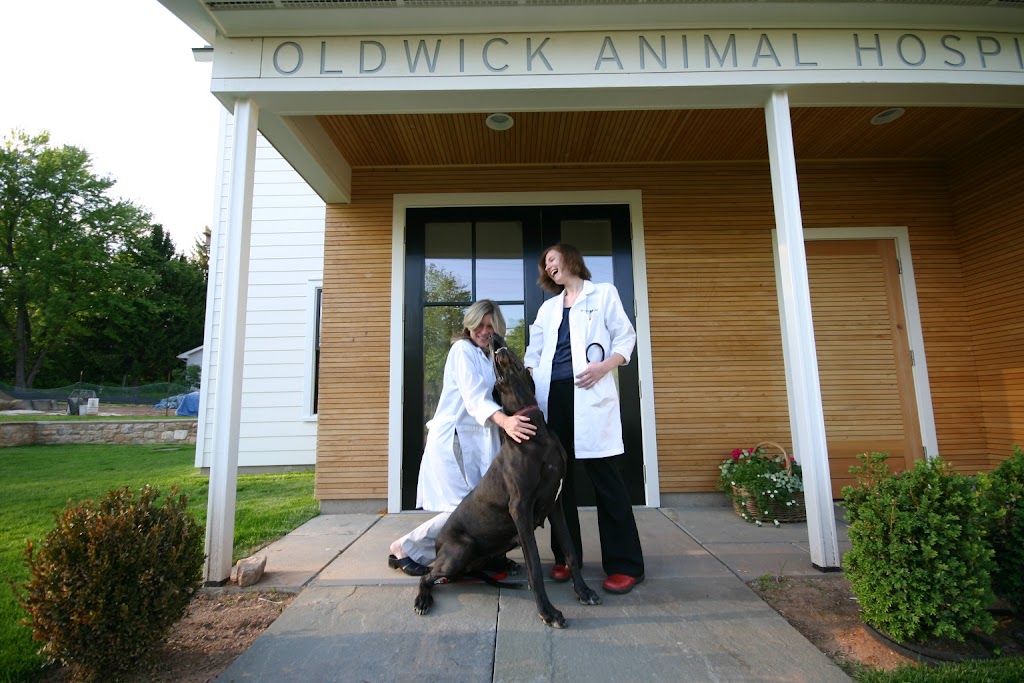 Oldwick Animal Hospital | 130 Oldwick Rd, Whitehouse Station, NJ 08889 | Phone: (908) 439-2470