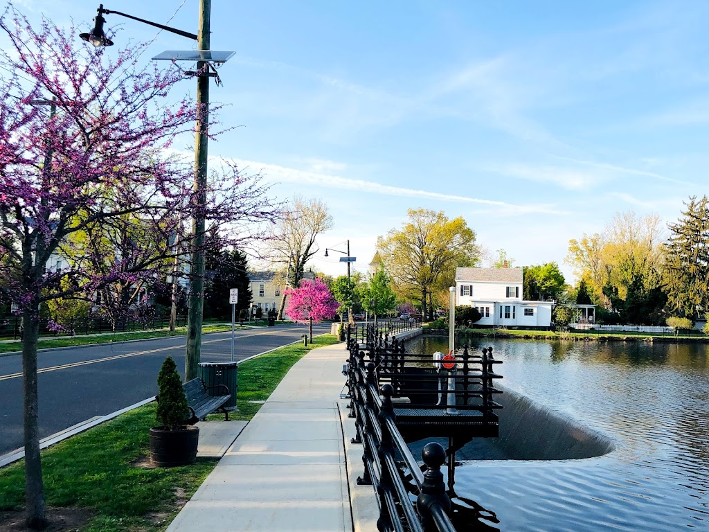 Cranbury Public Library | 30 Park Pl W, Cranbury, NJ 08512 | Phone: (609) 722-6992