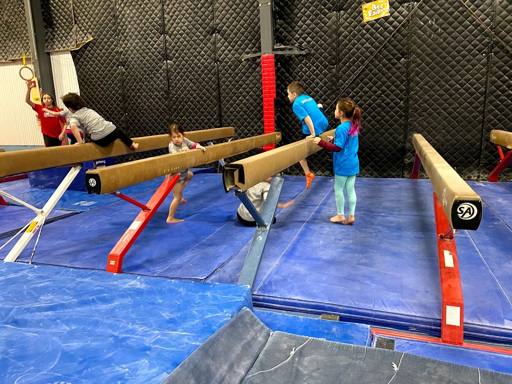 Elite Ninja Warrior | 206 C, New Hwy, Amityville, NY 11701 | Phone: (631) 841-2190