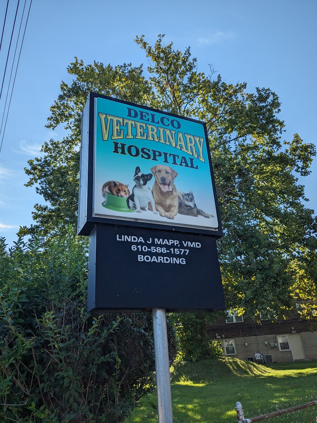 Delco Veterinary Hospital | 1301 Hook Rd, Sharon Hill, PA 19079 | Phone: (610) 586-1577