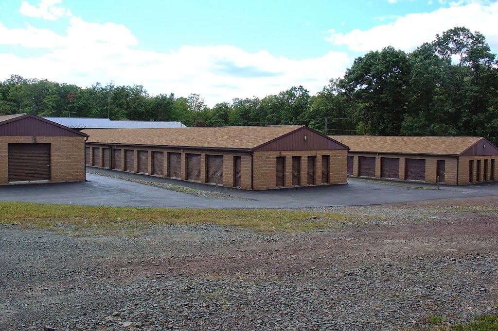 Pocono Mountain Mini Storage | 508 PA-390, Tafton, PA 18464 | Phone: (570) 226-2824