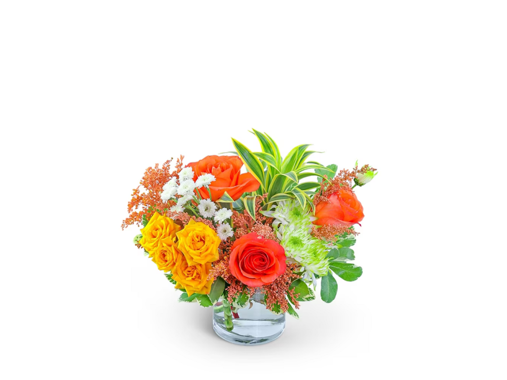 Pernas Plant and Flower Shop | 189 Washington Rd, Princeton, NJ 08540 | Phone: (609) 452-1383