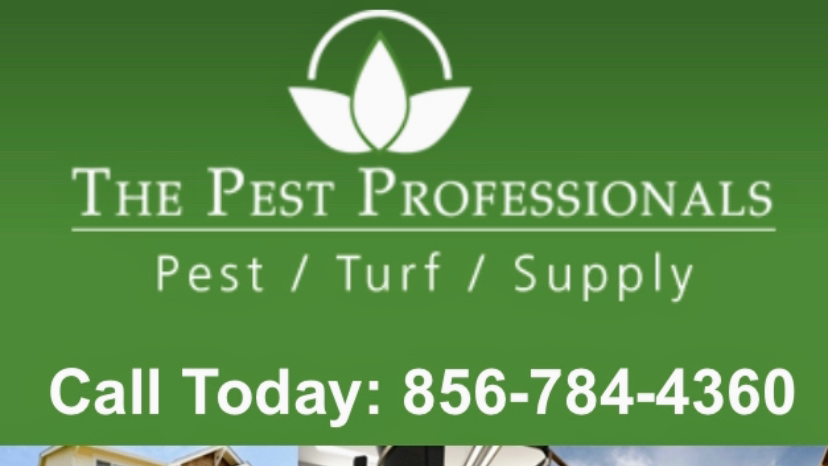 Pest Professionals | 22 Jerome Ave, Sicklerville, NJ 08081 | Phone: (856) 784-4360
