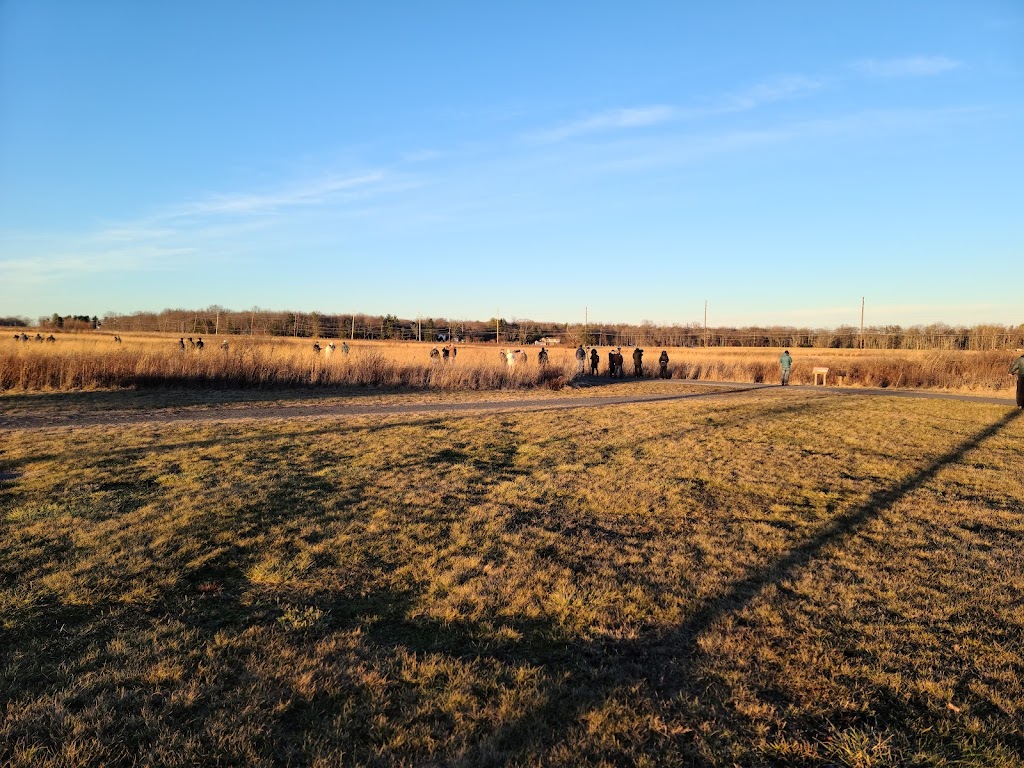 Pole Farm at Mercer Meadows | 111-167 Cold Soil Rd, Lawrence Township, NJ 08648 | Phone: (609) 303-0700
