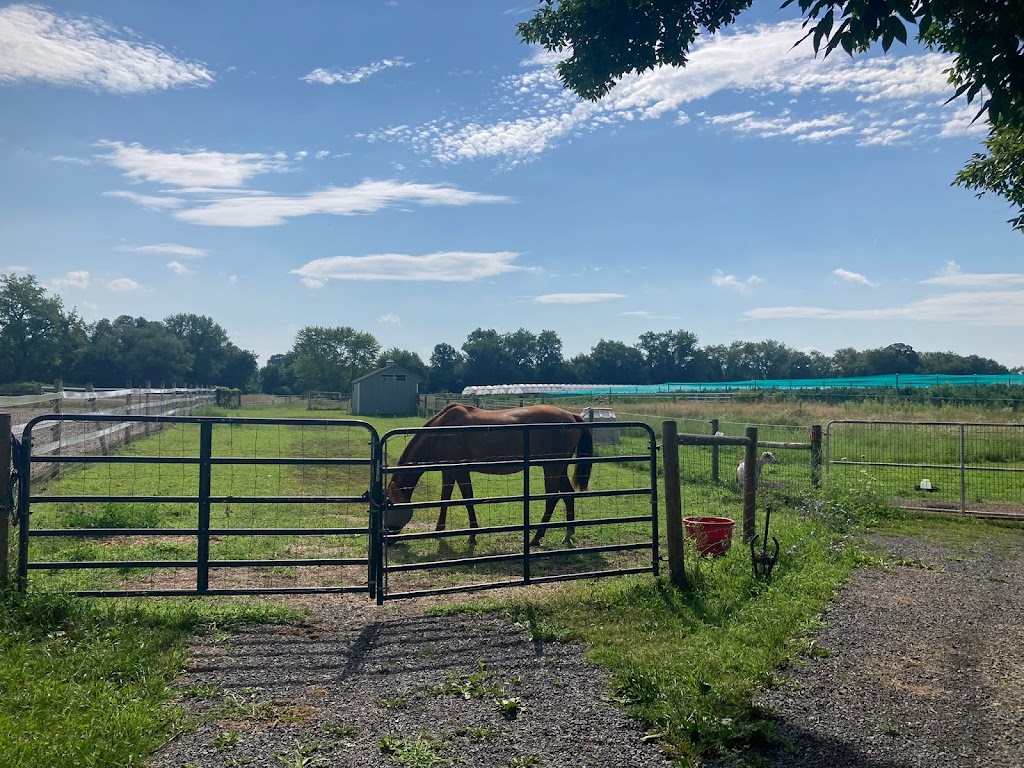 Sweet River Farm | 64 River Rd, South Deerfield, MA 01373 | Phone: (413) 350-5137