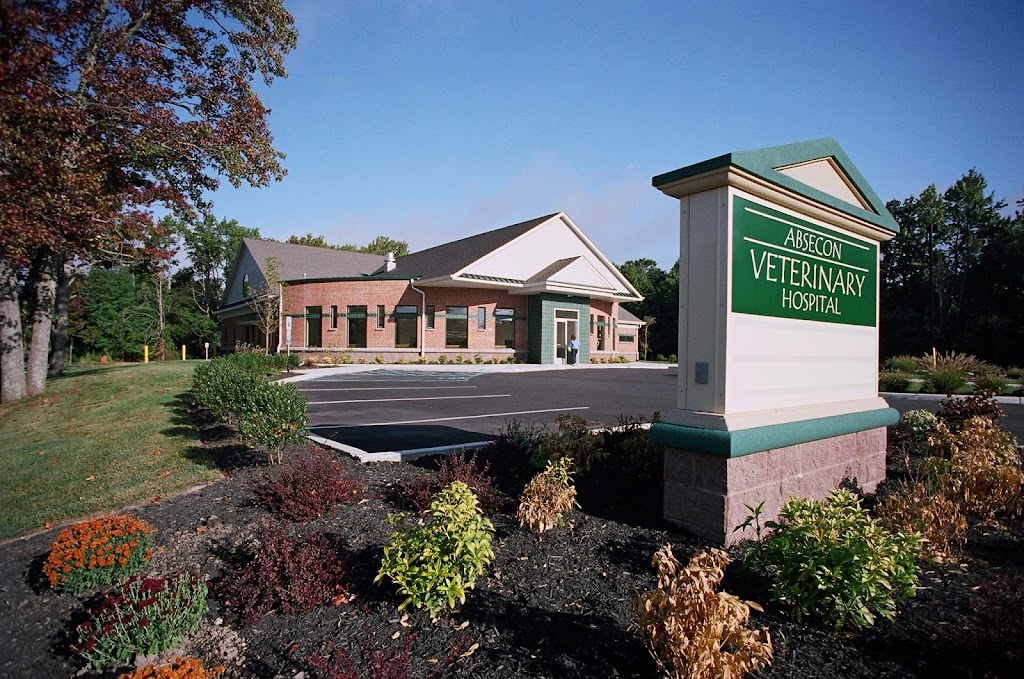 Absecon Veterinary Hospital | 195 S New Rd, Absecon, NJ 08201 | Phone: (609) 646-7013