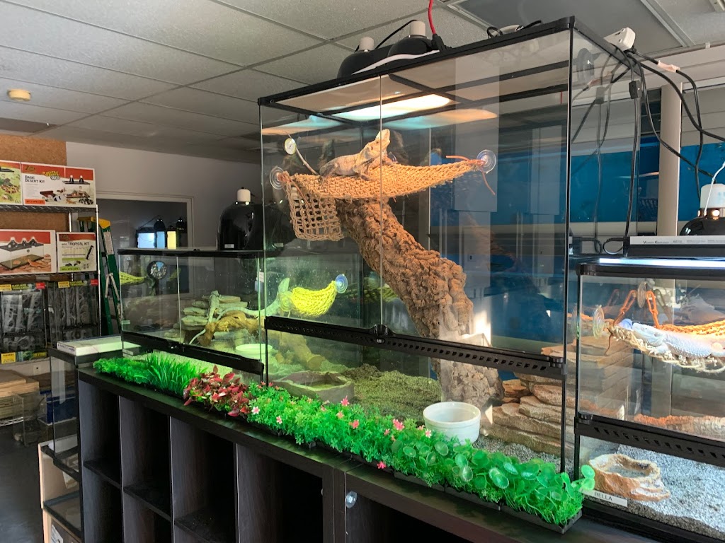 A & R Reptiles and Aquariums | 116 S Central Ave A, Elmsford, NY 10523 | Phone: (914) 372-7101