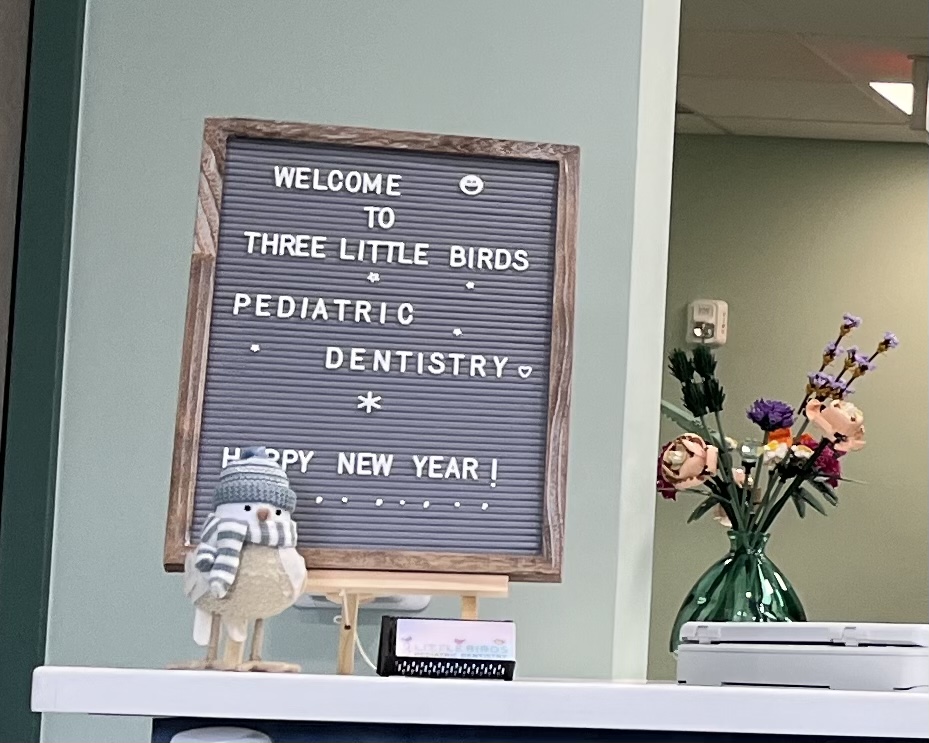 Three Little Birds Pediatric Dentistry | 3104 Bridgeboro Rd Suite A, Delran, NJ 08075 | Phone: (856) 444-5437