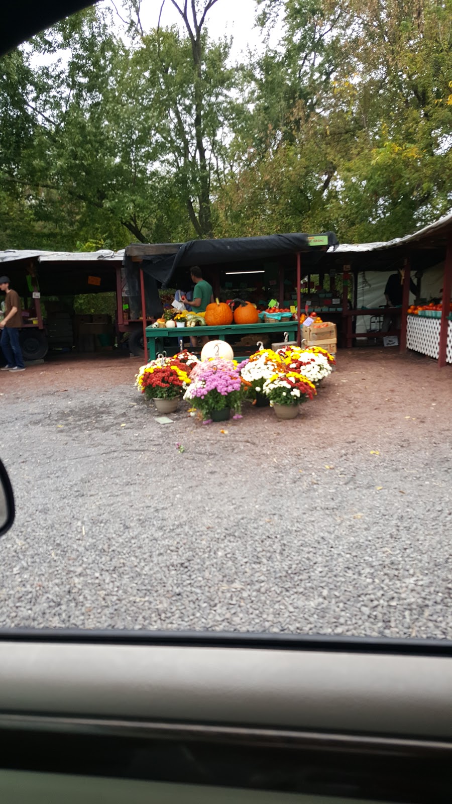 Barry Davis Produce Stand | 821 Collegeville Rd, Collegeville, PA 19426 | Phone: (484) 941-3792