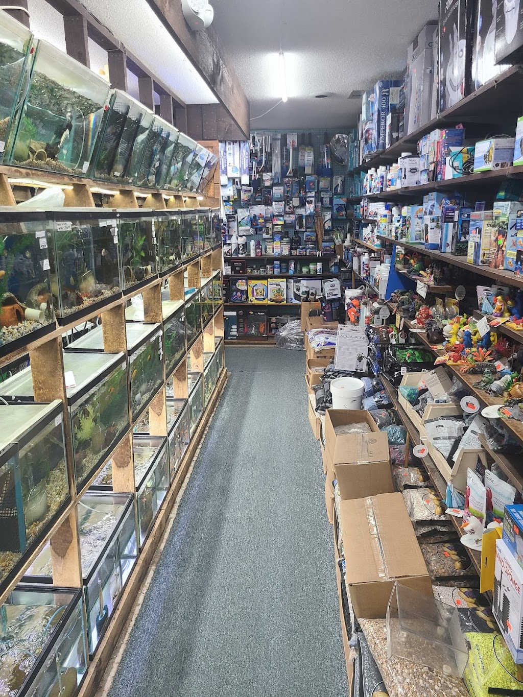 Emmons Tropical Fish & Ponds | 1612 Hopmeadow St, Simsbury, CT 06070 | Phone: (860) 658-5401